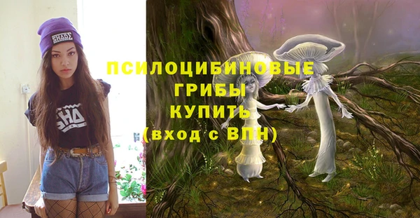 гидропоника Алексин