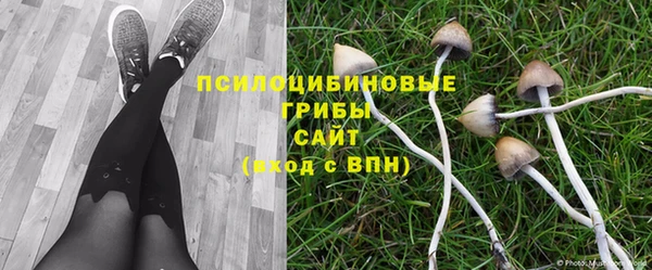 твердый Алзамай