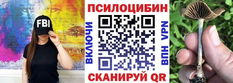 Галлюциногенные грибы мухоморы  Кизел 